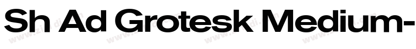 Sh Ad Grotesk Medium字体转换